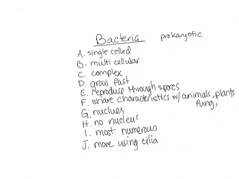 1-check-all-that-apply-to-the-bacteria-kingdom-3-answers-a-single-celled-organism-single-celled-organism-b-multi-cellular-organism-c-complex-cell-structures-d-grow-fast-e-reproduce-through-spores-f-sh