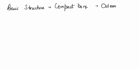 816quizzes142962take-d-question-5-the-basic-unit-of-the-compact-bones-is-called-oosteor-o-harvesian-canal-o-circumferential-canal-olacunae-question-6-55714