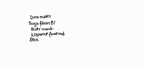 describe-ihe-three-layers-of-meninges-by-matching-each-layer-with-the-descriptions-that-fit-it-best-the-deapost-monlnx-splder-ilko-tough-whito-bbrous-canneclve-lissua-doop-0-tho-dura-mator-v-63148