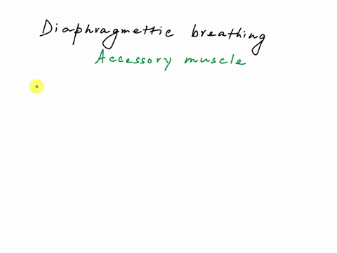 in-diaphragmatic-breathing-which-is-an-accessory-muscle-during-inhalation-1-diaphragm-2-external-intercostals-3-sternocleidomastoid-4-internal-intercostals-96621