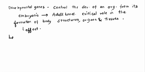 mutations-occur-randomly-and-spontaneously-one-cannot-guess-when-or-where-mutation-will-occur-mutation-one-source-of-genetic-variation-populations-why-would-developmental-genes-show-very-lit-68909