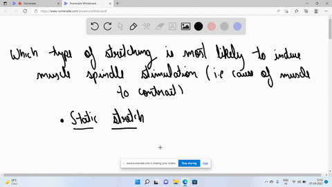 question-29-1-point-which-type-of-stretching-is-most-likely-to-induce-muscle-spindle-stimulation-ie-cause-muscle-to-contract-ballistic-pnf-static-dynamic-question-30-1-point-special-enduranc-57825