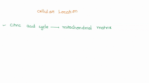 which-process-is-correctly-paired-with-the-cellular-location-in-which-it-takes-place-citric-acid-cycle-mitochondria-matrix-photosynthetic-lectron-transport-chain-chloroplast-stroma-glycolysi-75263