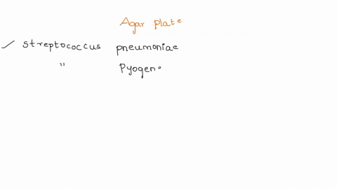 why-was-a-blood-agar-plate-used-instead-ofa-nutrient-agar-plate-for-the-hand-washing-experiment-36404