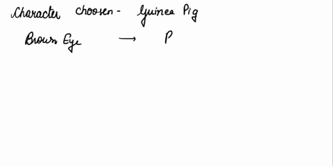 question-z0-dopamine-neurotransmitter-that-increases-mcod-and-feelings-of-pleasure-ine-mechanismdy-which-dopamine-presnapticneuron-iillustrared-figure-called-released-byne-endocydsis-coubled-79258