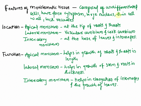 give-characteristics-features-of-meristematic-tissue-explain-their-location-and-function-class-9-49582