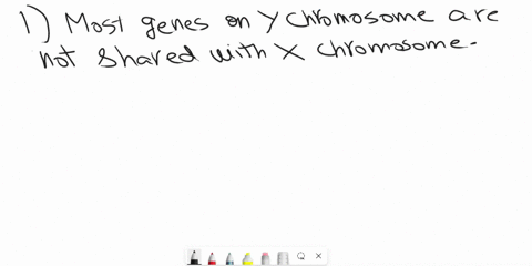 why-are-males-more-likely-t0-exhibit-an-x-linked-recessive-trait-than-females-1-most-genes-on-the-y-chromosome-are-not-shared-with-the-x-chromosome-2-male-sex-hormones-effect-expression-of-g-53191
