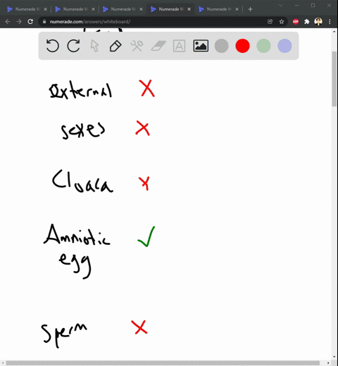 which-of-the-following-is-a-reproductive-adaptation-to-life-on-land-external-fertilization-separate-sexes-cloaca-amniotic-egg-flagellated-sperm-38297