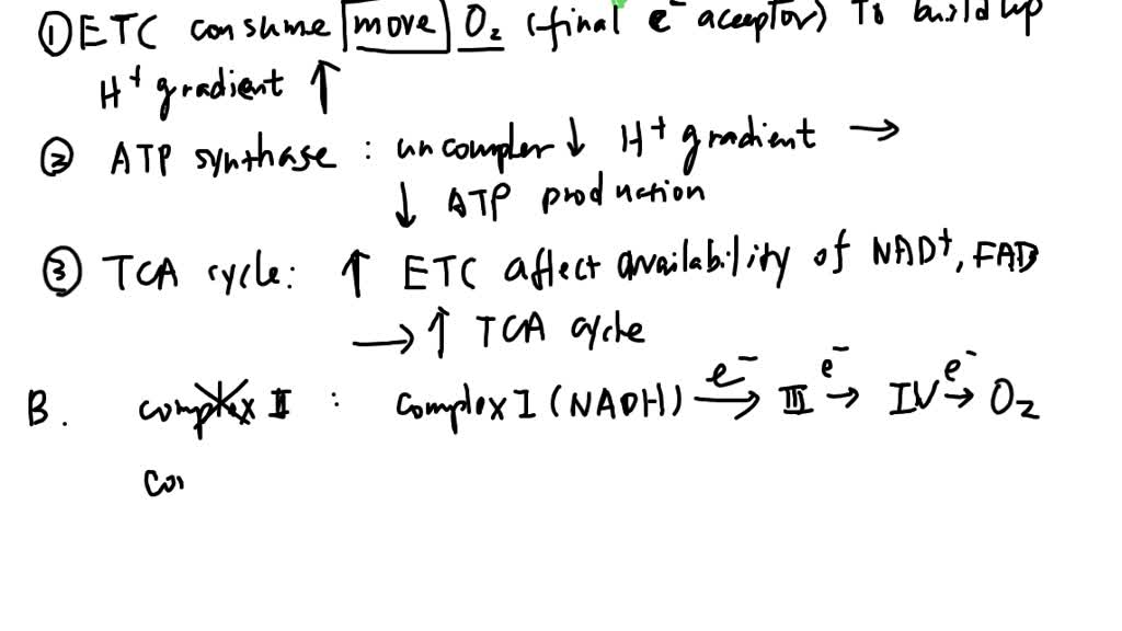 SOLVED: Part III - Metabolic pathway connections - 8pts. Metabolic ...