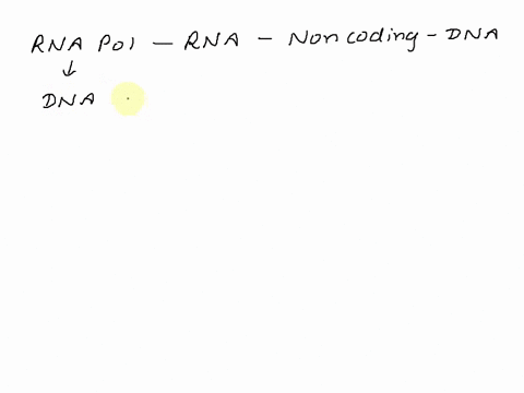 question-37-which-enzyme-adds-rna-nucleotides-to-the-mrna-molecule-exonase-tcrminasc-dna-polymerase-hclicasc-rna-polvmcrasc-44292