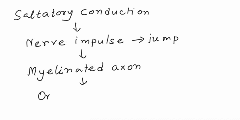 question-31-saltatory-conduction-is-made-possible-by-_____-myelin-sheath-nerve-fibers-diphasic-impulses-erratic-transmission-of-nerve-impulses-2-points-question-32-select-the-correct-stateme-52631