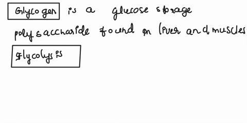 what-is-glycogen-and-where-does-it-come-from-under-what-conditions-will-glycolysis-occur-glycogenolysis-gluconeogenesis-66167