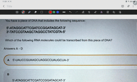 you-have-piece-of-dna-that-includes-the-following-sequence-5-ataggcattcgatccggatagcat-3-3-tatccgtaagctaggcctatcgta-5-which-of-the-following-rna-molecules-could-be-transcribed-from-this-piece-65744