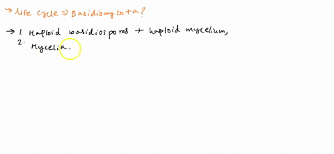 describe-the-life-cycle-of-the-basidiomycota-using-the-following-terms-monokaryotic-mycelium-dikaryotic-mycelium-basidioma-hymenium-basidiuma-and-basidiospores-whilst-indicating-where-karyog-86326