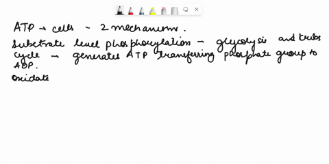 atp-is-made-in-the-cell-by-substrate-level-phosphorylation-or-oxidative-phosphorylation-during-cellular-respiration-differentiate-between-these-two-mechanisms-of-atp-production-at-what-stage-01534