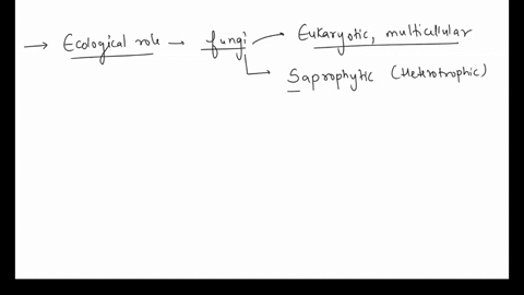 the-ecological-role-of-fungi-is-that-of-o-producers-o-predators-o-grazers-o-decomposers-83873