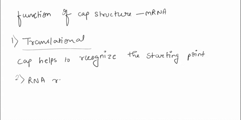 the-functions-of-the-cap-on-mrna-include-mrna-splicing-translational-start-identification-addition-of-the-polya-tail-rna-transcript-protection-from-degradation-identification-of-translation-65389