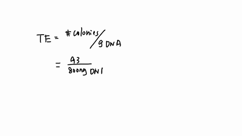 questions-of-dna-at-the-start-of-the-transformation-and-you-counted-1-if-you-know-you-had-an-input-of-800-dg-transformation-efficiency-colonies-93-colonies-on-your-plate-dnalbamptara-what-is-17405