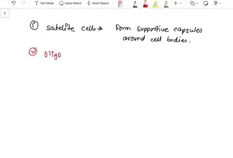 for-the-following-match-the-cell-type-to-their-function-satellite-cells-choose-choose-oligodendrocytes-cells-that-are-source-of-neural-stem-cells-and-that-help-to-form-the-csf-cells-that-for-75752