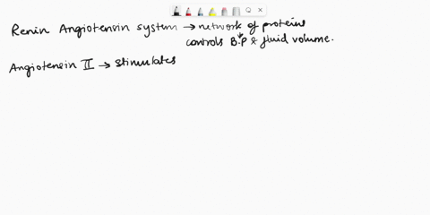explain-the-summary-of-the-renin-angiotensin-system-and-the-stimulation-of-aldosterone-secretion-by-angiotensin-ii-48916