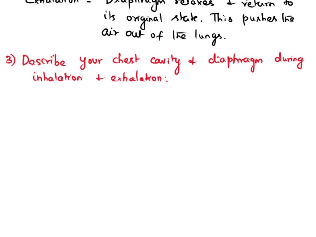 SOLVED 1. What is breathing? 2. How does the movement of the diaphragm