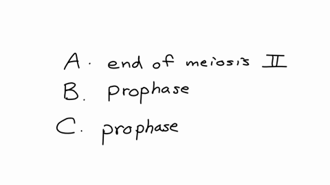 this-sexually-reproducing-organism-has-a-normal-diploid-number-of-4-chromosomes-in-its-somatic-cells-for-questions-1-5-identify-the-cells-stage-of-mitosis-meiosis-cell-cycle-or-if-it-cannot-exist-as-2