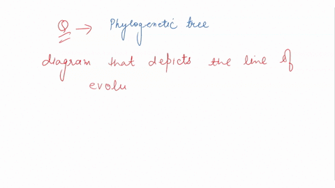 select-the-statements-that-describe-phylogenetic-trees-a-hypothesis-about-the-evolutionary-history-of-related-organisms-used-t0-study-the-evolutionary-relationships-among-organisms-dused-to-42401