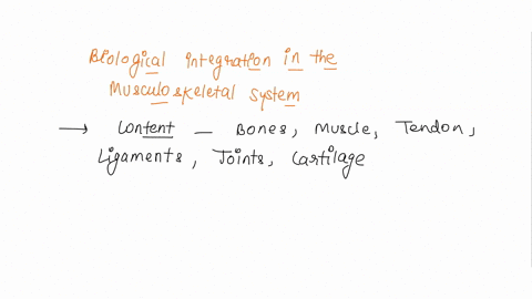 the-concept-of-biological-integration-is-manifest-in-the-musculoskeletal-system-can-you-explain-this-integration-structurally-and-functionally-its-clear-that-structural-body-systems-are-inte-64784
