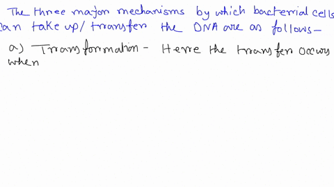 chapter 12 summarize the process of bacterial transformation describe ...
