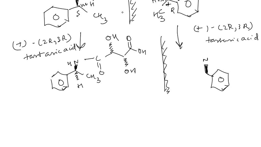 SOLVED: Question [8] Free-radical Bromination Of The Following Compound ...