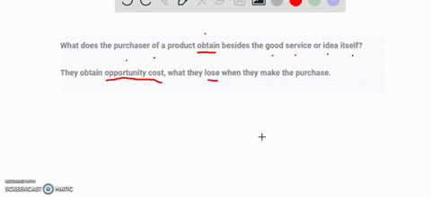 what-does-the-purchaser-of-a-product-obtain-besides-the-good-service-or-idea-itself-32356