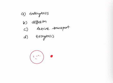 the-process-by-which-a-cell-takes-in-a-large-particle-is-called-a-endocytosis-b-diffusion-c-active-transport-d-exocytosis-50887