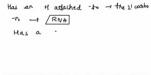 fill-the-blank-neither-both-dna-and-rna-dna-choose-whether-each-of-the-following-descriptions-apply-to-dna-rna-both-or-neither-has-an-h-attachcd-to-thc-carbon-choosc-has-sugar-phosphatc-back-82762