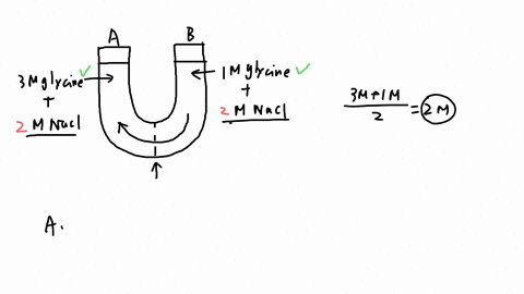the-solutions-in-the-arms-of-the-u-tube-shown-are-separated-by-a-membrane-permeable-to-water-and-ions-but-not-amino-acids_-side-a-is-initially-filled-with-3m-glycine-an-amino-acid-and-1m-nac-38866