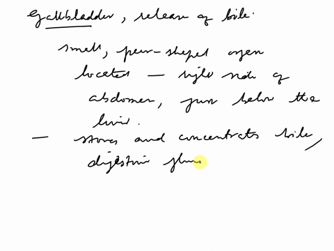 locate-the-gallbladder-and-describe-the-release-of-bile-99547