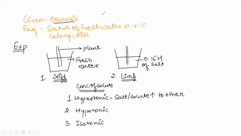 question-31-1pts-celery-stalks-that-are-immersed-in-fresh-water-for-several-hours-become-stiff-similar-stalks-left-in-a-015-m-salt-solution-become-limp-from-this-we-can-deduce-that-the-fresh-73745