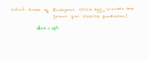 viruses-that-affect-human-health-are-grown-in-these-areas-of-an-embryonated-chicken-egg-for-the-production-of-vaccines-and-research-purposes-a-amniotic-cavity-b-amnion-region-c-chorioallanto-02938