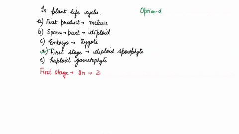 in-plant-life-cycles-a-the-first-products-of-meiosis-are-gametes-b-spores-are-part-of-the-diploid-5-92189