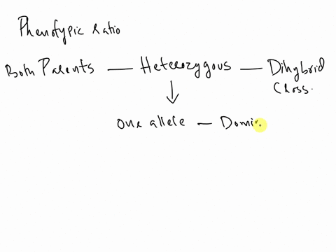 which-phenotypic-ratio-is-likely-to-occur-when-crossing-parents-who-are-both-fully-heterozygous-for-two-independently-segregating-genes-where-one-allele-of-each-gene-is-completely-dominant-t-43137