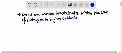 specifically-what-kinds-of-organisms-are-most-important-in-deposition-of-calcium-carbonate-on-coral-reefs-46579