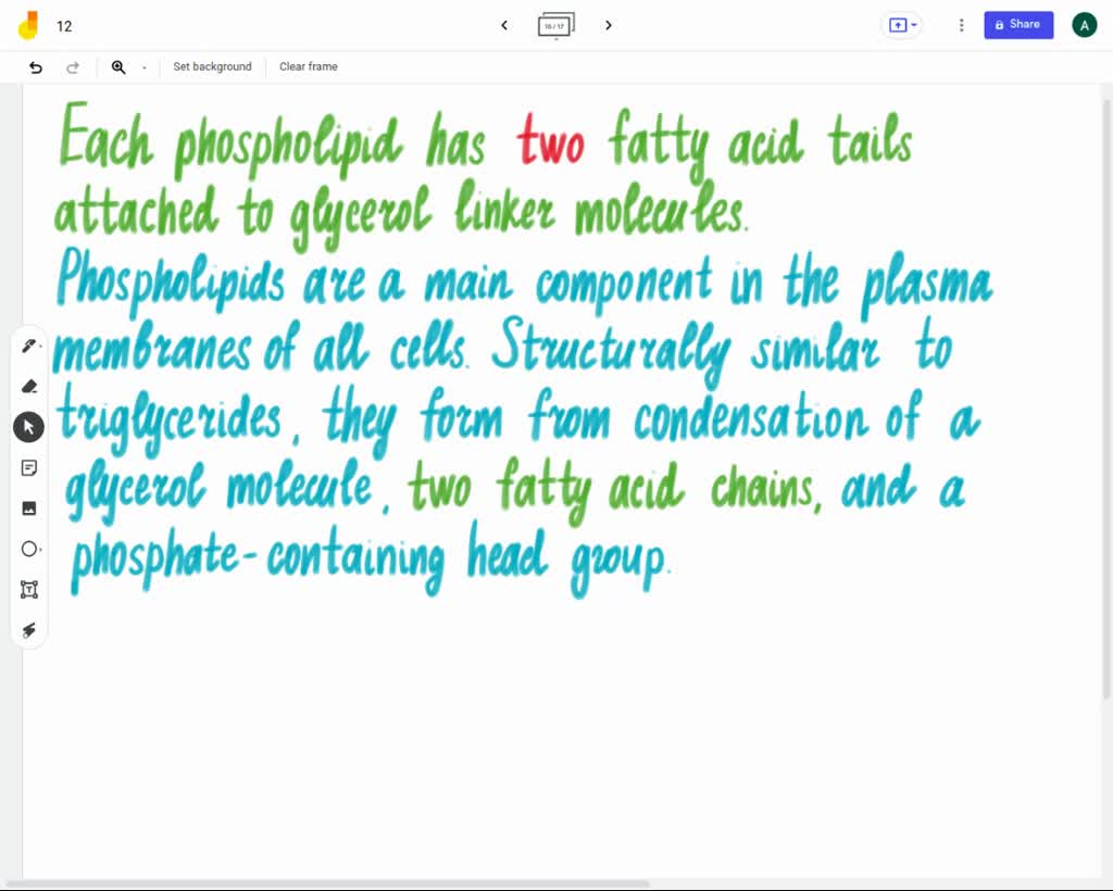 SOLVED glycerol glycerol saturated fatty acid tails unsaturated fatty