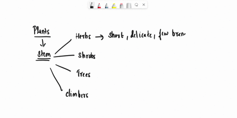 which-four-types-of-classification-is-there-between-plants-based-on-their-stems-1-herbs2-shrubs-3-trees-and_______-31824