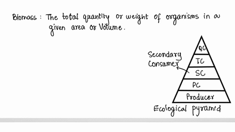 how-would-more-secondary-consumers-affect-the-biomass-of-the-higher-trophic-levels-08167