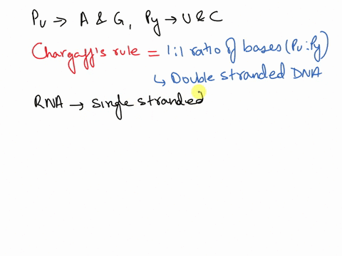 boris-magasanik-collected-data-on-the-proportion-of-each-base-in-rna-from-different-species-to-compare-the-relative-amount-of-each-base-among-the-sources-he-standardized-the-value-of-adenine-51852