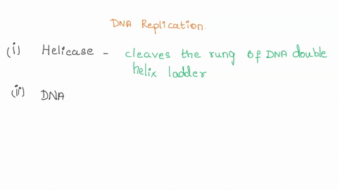 match-the-following-descriptions-with-the-enzymes-involved-in-dna-replication-adds-an-rna-primer-to-begin-elongation-removes-the-rna-primer-from-the-beginning-of-the-newly-constructed-strand-88512