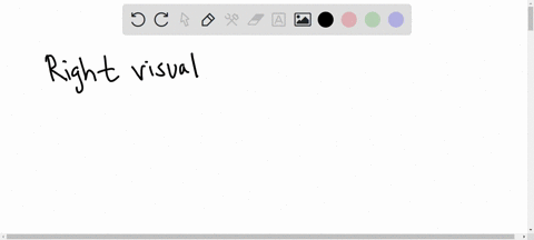 at-the-point-of-the-optic-chiasm-information-from-the-right-visual-field-which-comes-from-both-eyes-is-sent-to-the-________-side-of-the-brain-and-information-from-the-left-visual-field-is-se-41383