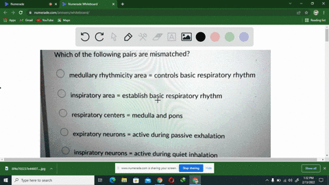 which-of-the-following-pairs-are-mismatched-medullary-rhythmicity-area-controls-basic-respiratory-rhythm-inspiratory-area-establish-basic-respiratory-rhythm-respiratory-centers-medulla-and-p-05124