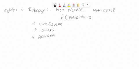question-7-bacteria-archaea-eukarya-animals-fungi-plants-protists-based-on-the-phylogeny-of-living-things-which-two-groups-have-the-closest-ancestor-in-common-plants-and-archjej-bacteria-and-90757