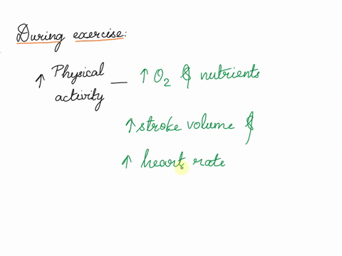 explain-how-the-changes-in-bp-and-hr-relate-to-the-cardiac-output-specifically-with-the-exercise-and-post-exersice-84003