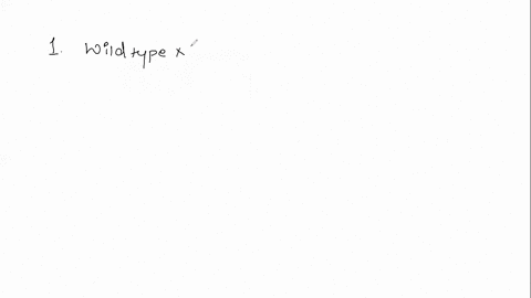 can-you-please-help-me-with-this-questions-showing-all-the-answers-with-reference-to-eye-color-phenotypes-produced-by-the-recessive-autosomal-unlinked-brown-and-scarlet-loci-in-drosophila-pr-46011